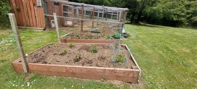 Photo 43