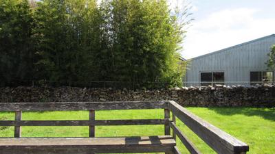 Photo 28