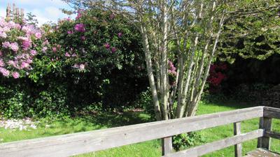 Photo 36