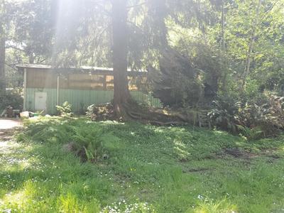 Photo 33