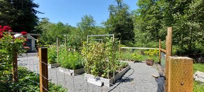 Photo 43