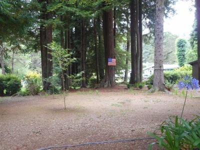 Photo 34