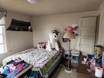 Photo 17