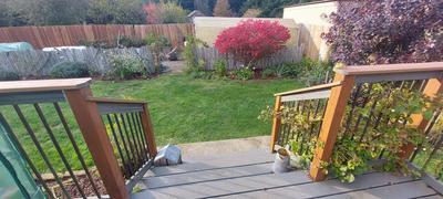Photo 34