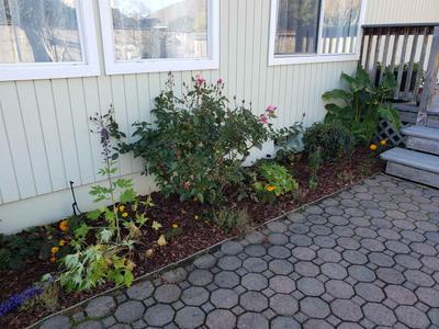 Photo 30