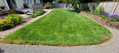Photo 32