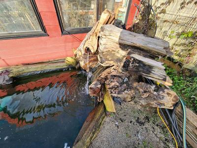 Photo 44