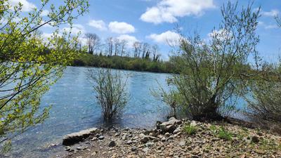 Photo 29