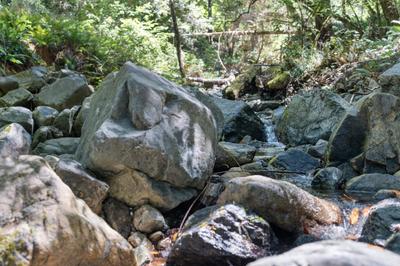 Photo 33