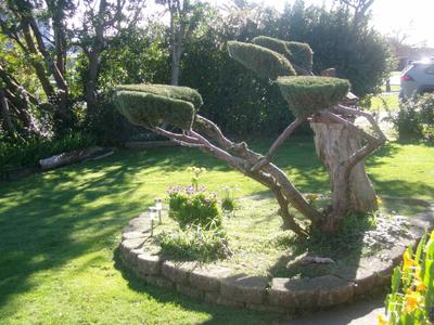 Photo 40