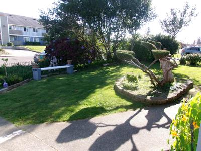 Photo 41