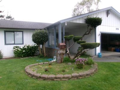 Photo 42