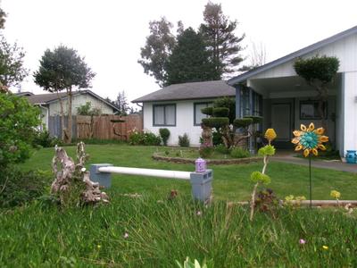 Photo 43