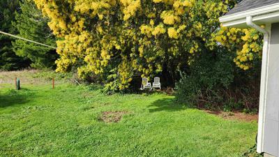 Photo 32