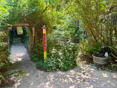 Photo 31
