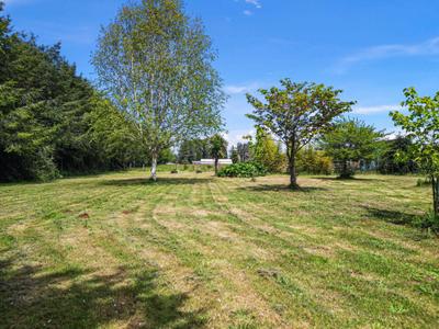 Photo 44