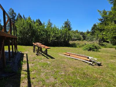 Photo 38