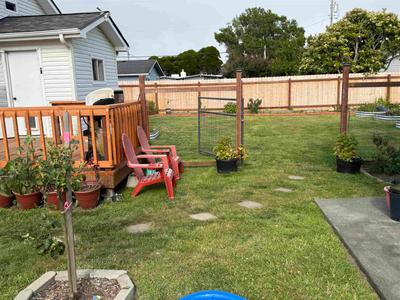 Photo 31