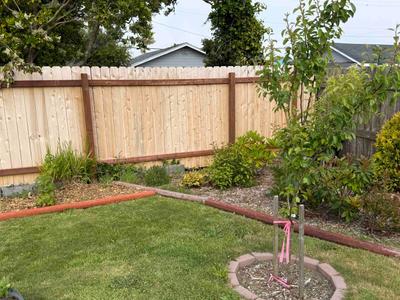 Photo 37