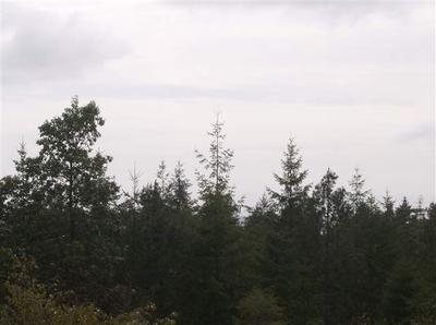 Photo 0